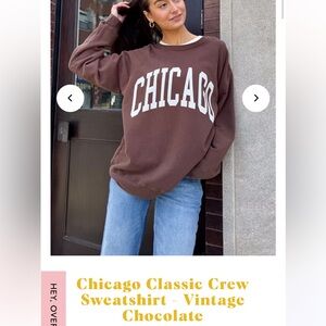 Alice & Wonder Vintage Chocolate Crew Neck Sweater